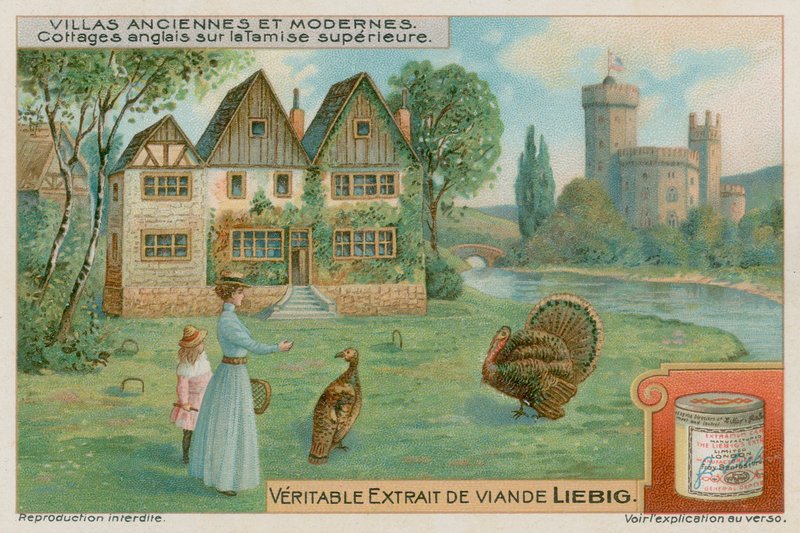 Angielskie domki nad Górną Tamizą autorstwa European School