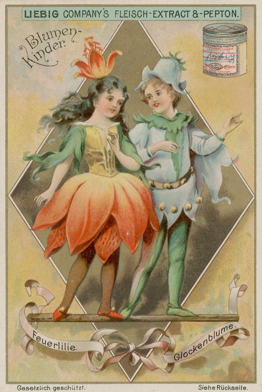 Ognista lilia i dzwonek autorstwa European School