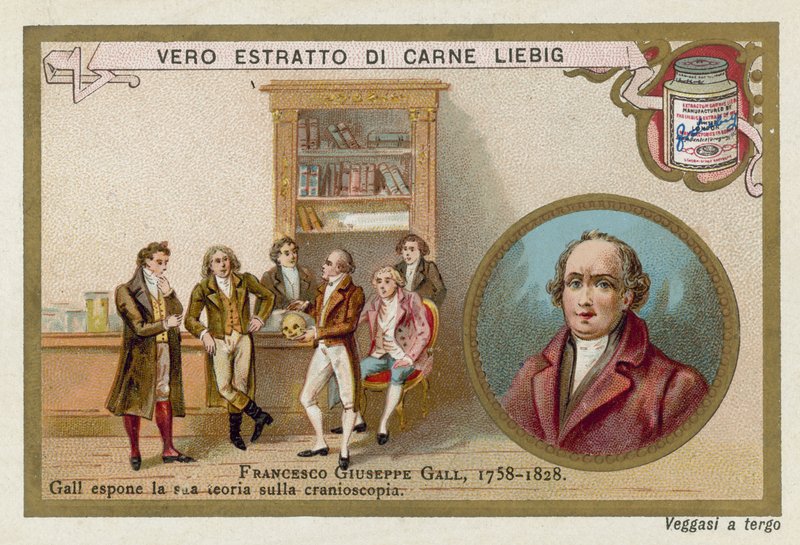 Franz Joseph Gall, niemiecki neuroanatom i fizjolog autorstwa European School