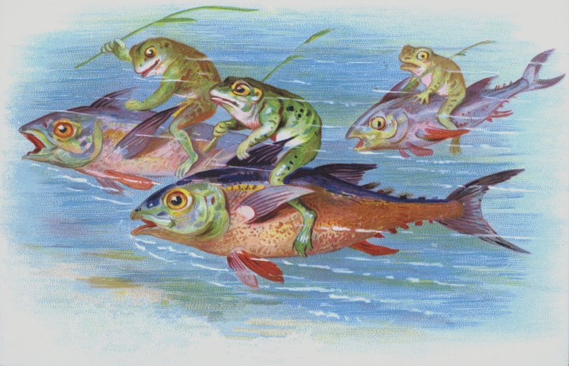 Żaby jeżdżące na rybach (chromolitho) autorstwa European School
