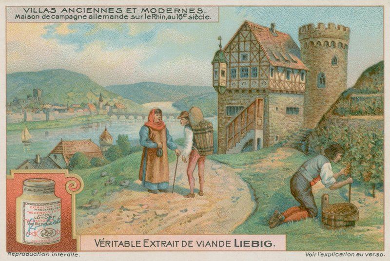 Niemiecka willa nad Renem w XVI wieku autorstwa European School