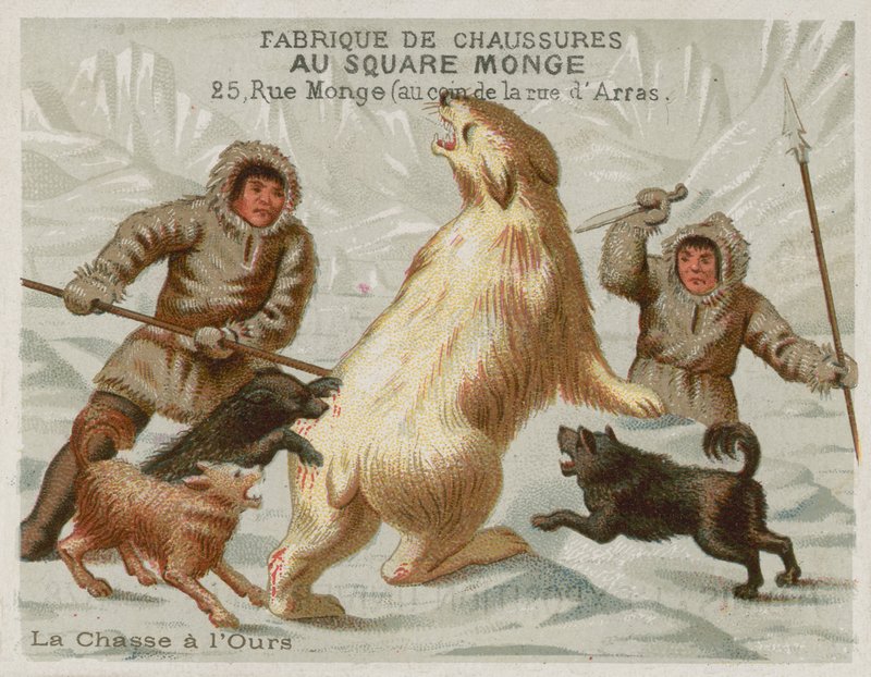 Polowanie na niedźwiedzie polarne z psami (chromolitho) autorstwa European School