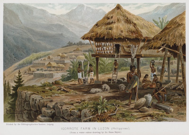 Farma Igorrote w Luzon, Filipiny (chromolitho) autorstwa European School
