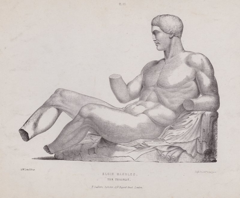 Ilustracja do anatomii zewnętrznych form człowieka: marmury Elgina, Tezeusz (lito) autorstwa European School