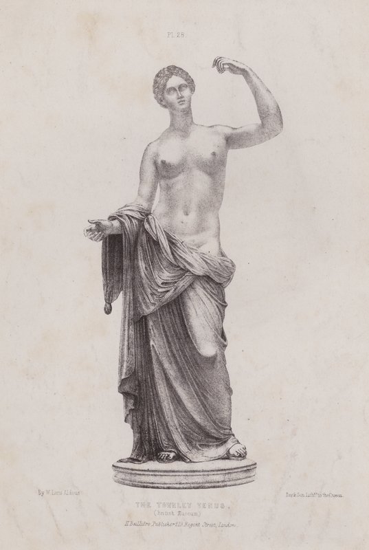 Ilustracja do Anatomii zewnętrznych form człowieka: The Townley Venus, British Museum (litografia) autorstwa European School