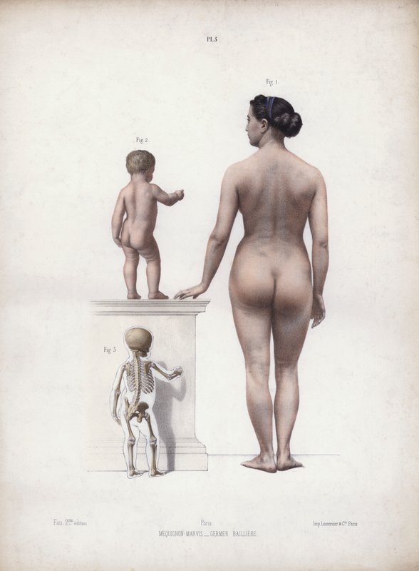 Ilustracja do Anatomii zewnętrznych form człowieka: Kobieta i dziecko w pozycji stojącej, widok z tyłu (kolorowa litografia) autorstwa European School