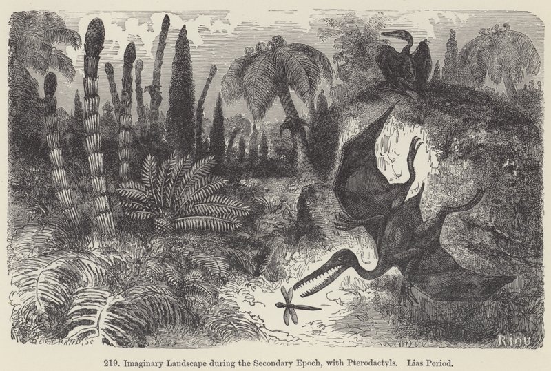Wyimaginowany krajobraz w drugiej epoce, z pterodaktylami, okres Liasa (rycina) autorstwa European School