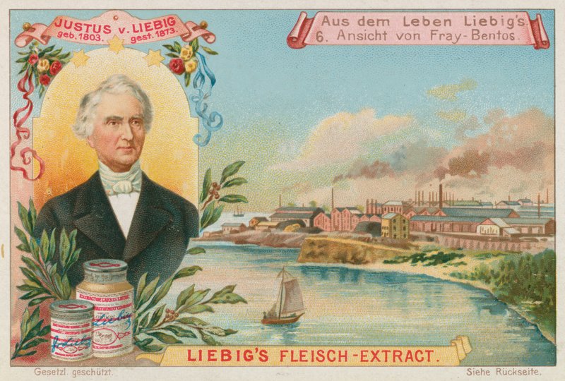 Justus von Liebig: Widok Fray-Bentos autorstwa European School