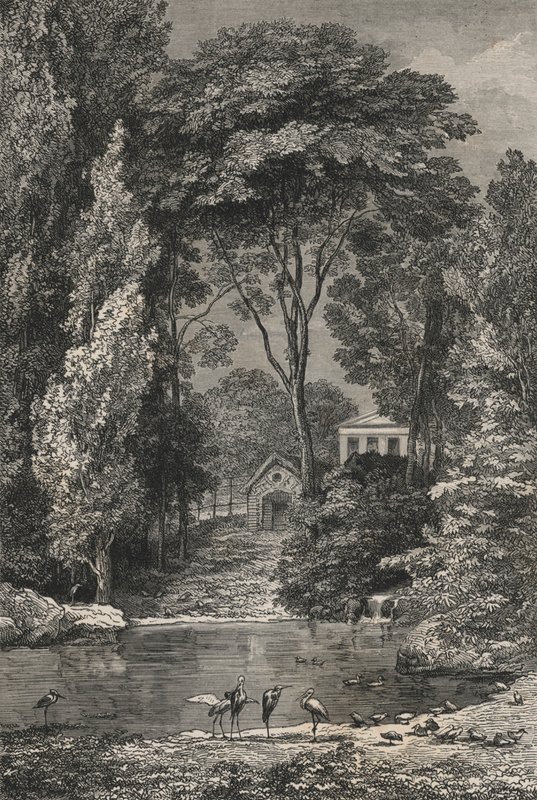 Dolina Szwajcarska w Jardin Des Plantes w Paryżu (grawerowanie) autorstwa European School