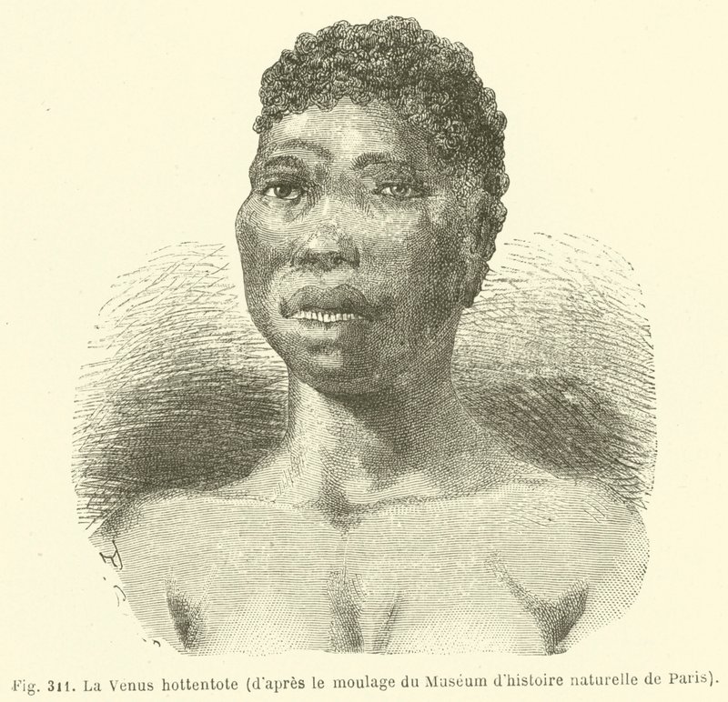 Hottentot Venus, z obsady Muzeum Historii Naturalnej w Paryżu (rycina) autorstwa European School