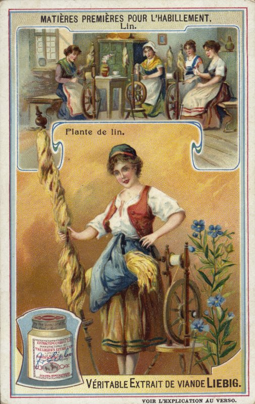 Pościel: roślina lniana autorstwa European School