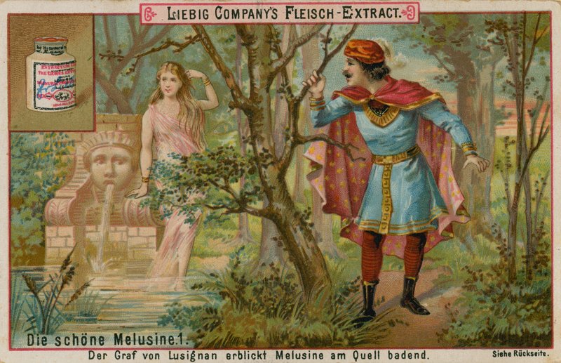 Meluzyna odkryta w lesie autorstwa European School