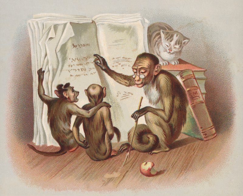 Nauczanie małp (chromolitho) autorstwa European School