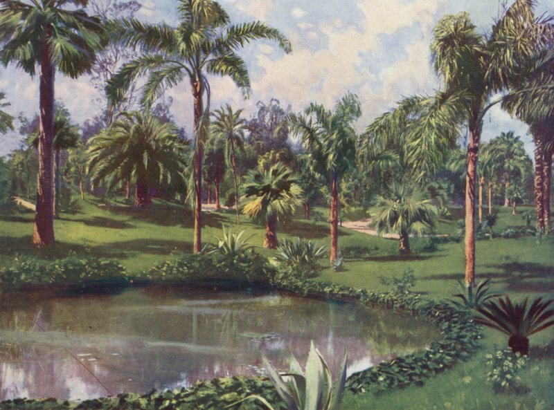 Monte-Carlo, Le Jardin du Casino (kolorowa litografia) autorstwa European School