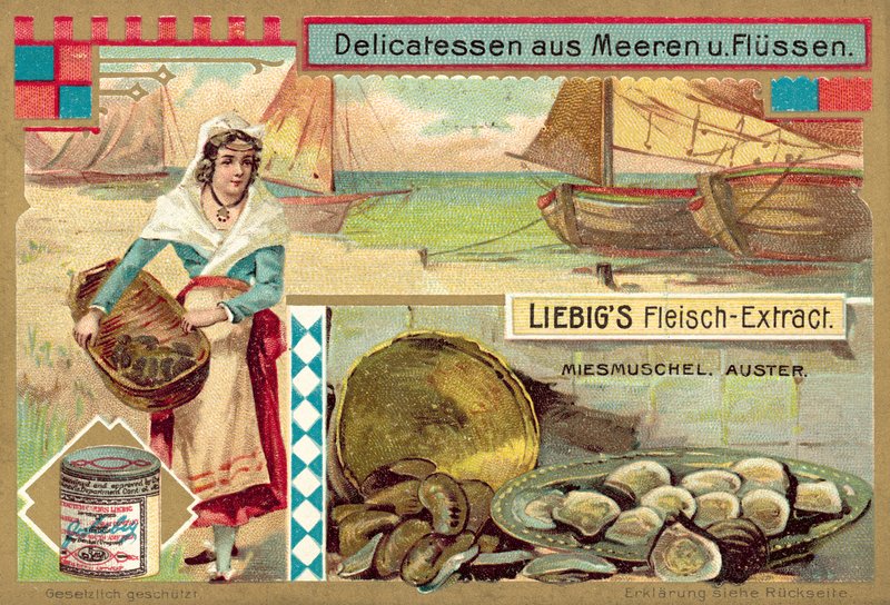 Małże i ostrygi (chromolitho) autorstwa European School