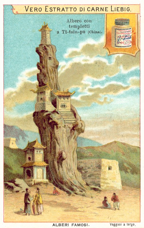 Stare drzewo ze świątyniami w Chinach (chromolitho) autorstwa European School