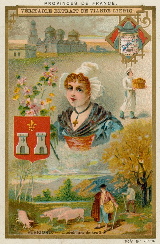 Perigord autorstwa European School