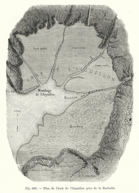 Plan zatoki Aiguillon w pobliżu La Rochelle (rycina) autorstwa European School