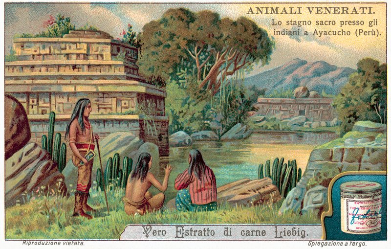 Staw świętych ryb w Ayacucho, Peru (chromolitho) autorstwa European School