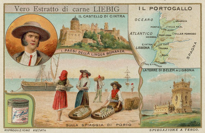 Portugalia autorstwa European School