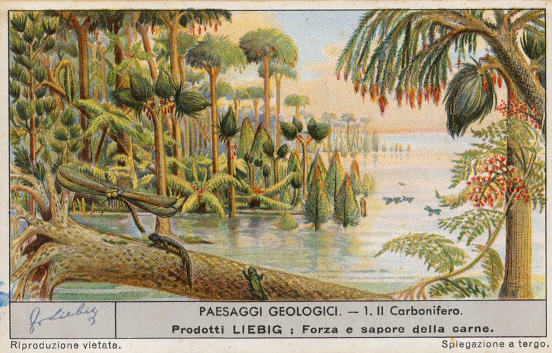 Prehistoryczny świat, karta Liebig, początek XX wieku (chromo) autorstwa European School