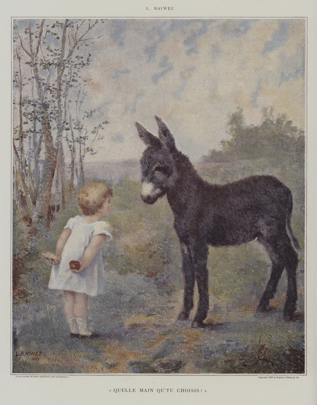 Którą rękę wybierasz? (Którą rękę wybierasz?) (kolor lito) autorstwa European School