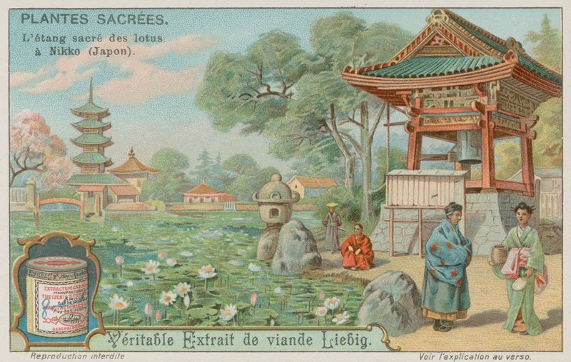 Staw świętego kwiatu lotosu w Nikko, Japonia autorstwa European School