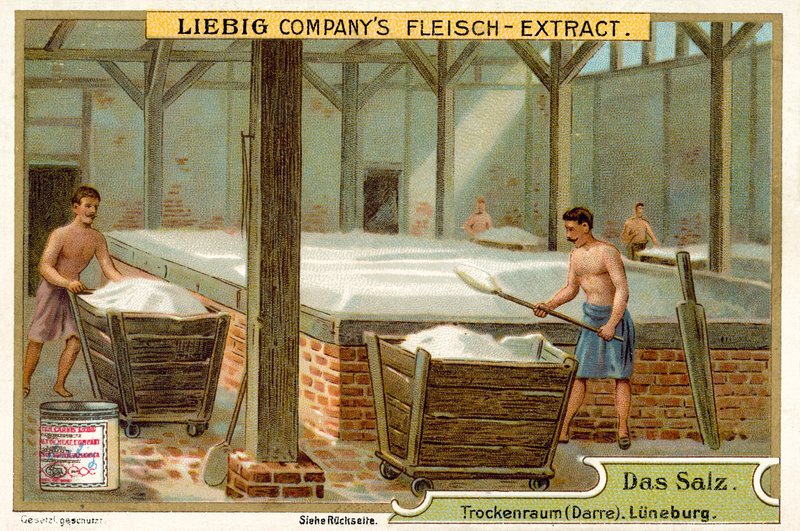 Sól: suszarnia, Lüneburg, Niemcy (chromolitho) autorstwa European School