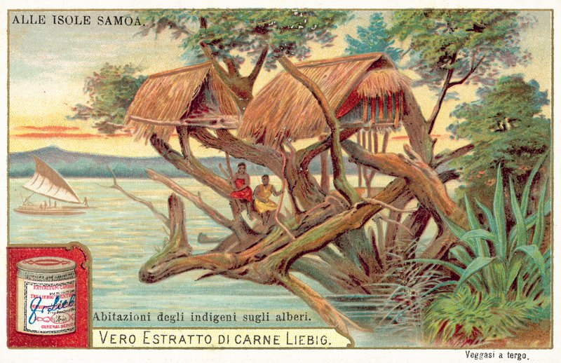 Samoański domek na drzewie (chromolitho) autorstwa European School