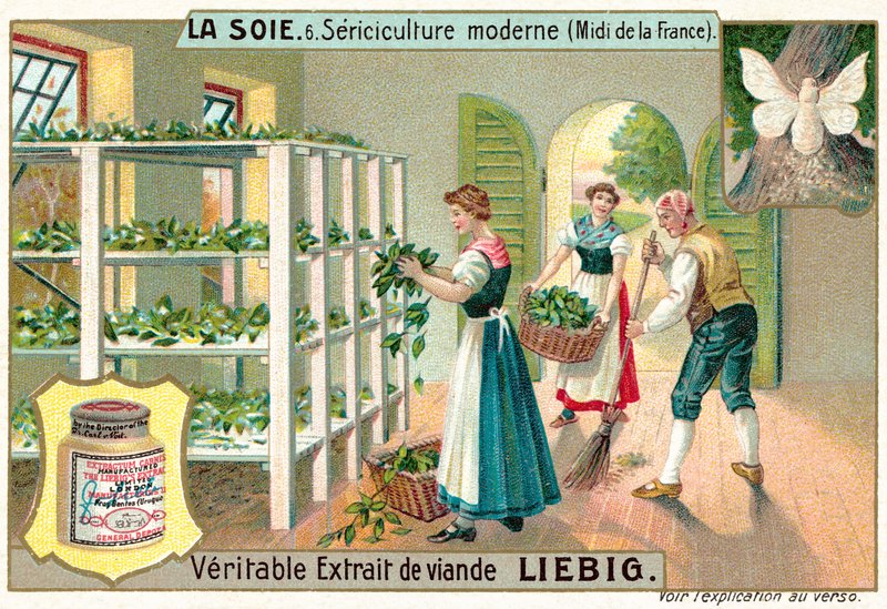 Produkcja jedwabiu na południu Francji (chromolitho) autorstwa European School