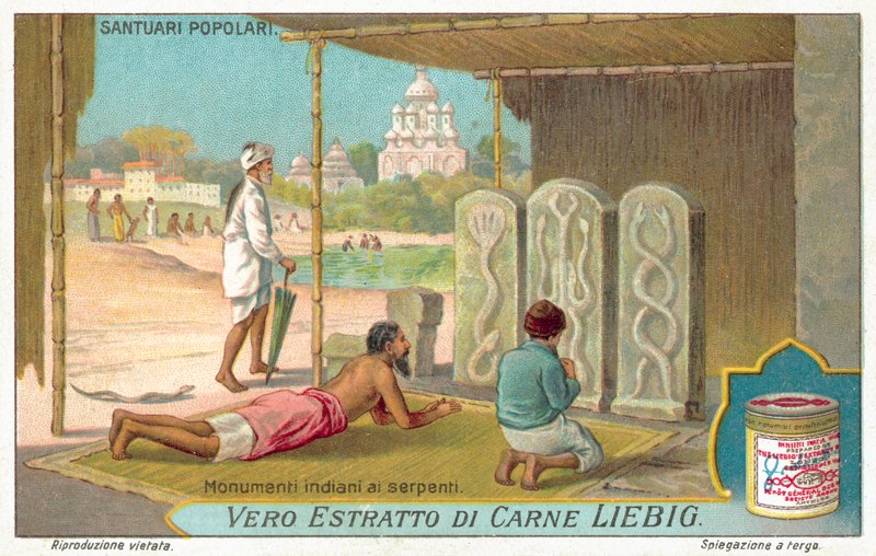 Pomniki węży w Indiach (chromolitho) autorstwa European School