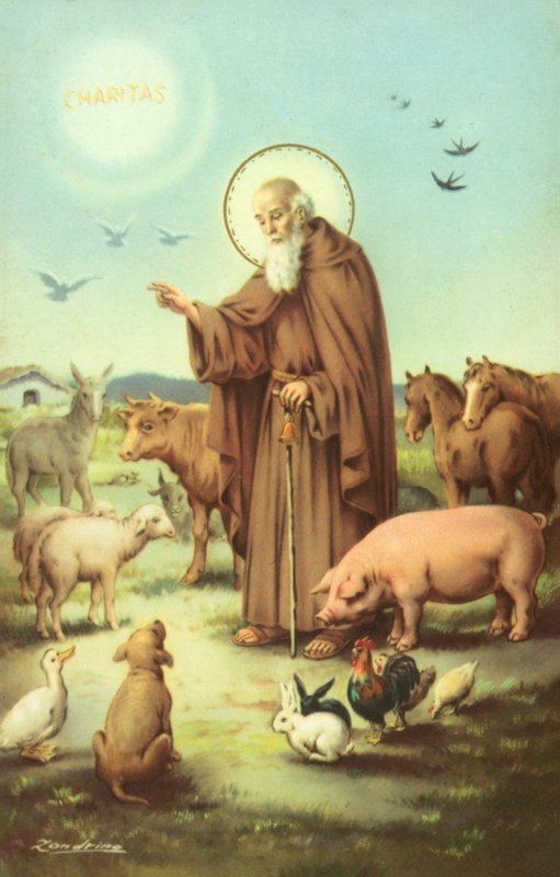 Święty Franciszek z Asyżu w otoczeniu zwierząt (kolorowa litografia) autorstwa European School