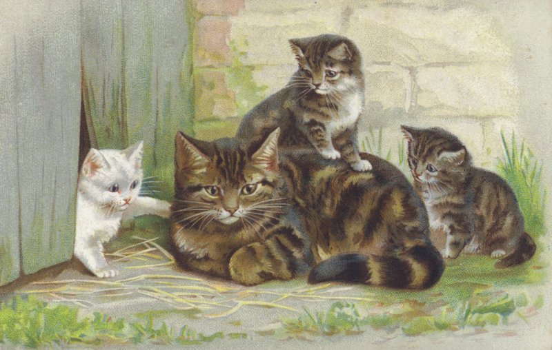 Kotka tabby z trójką kociąt (chromolitho) autorstwa European School