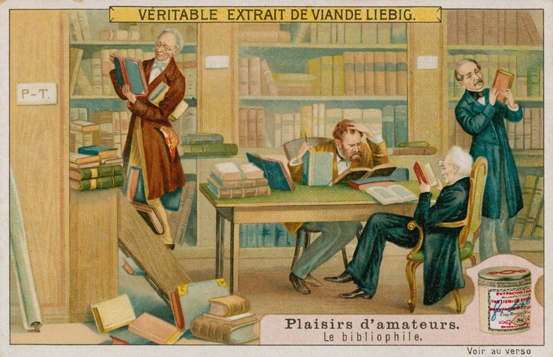 Amatorski bibliofil autorstwa European School