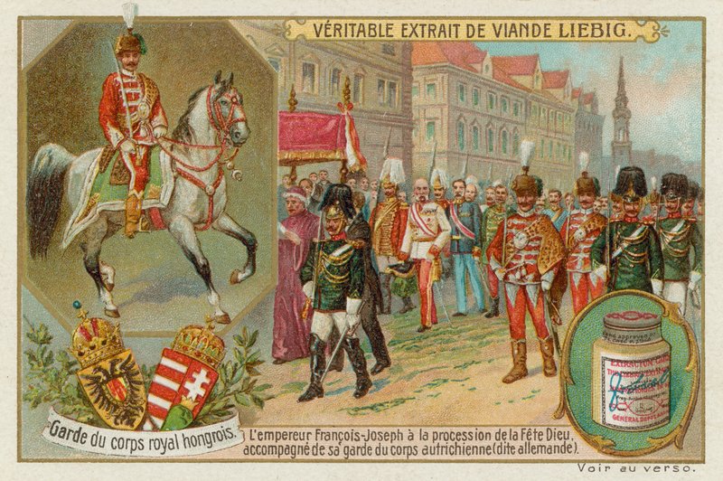 Ochroniarz cesarza Węgier autorstwa European School