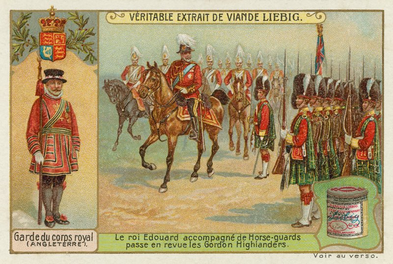 Ochroniarz króla Anglii autorstwa European School