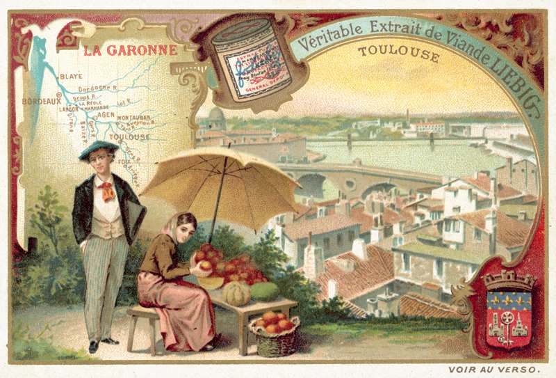Garonna i widok Tuluzy (chromolitho) autorstwa European School