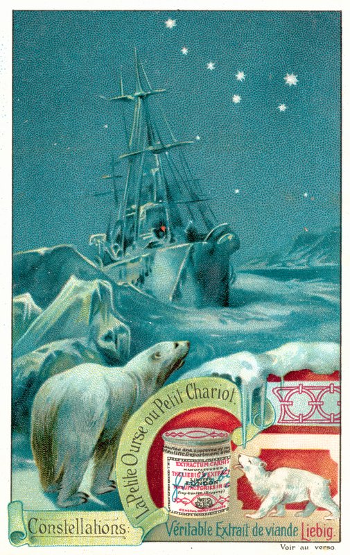 Ursa Minor (chromolitho) autorstwa European School