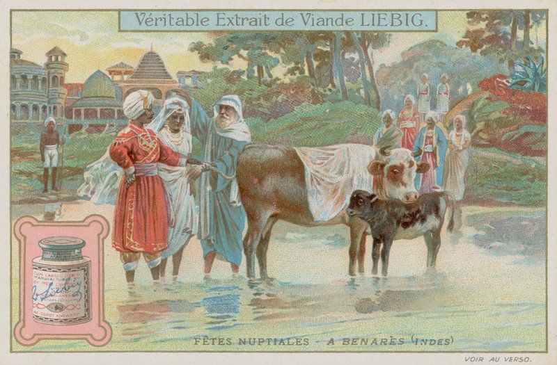 Tradycje weselne Varanasi autorstwa European School