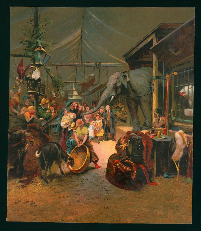Odwiedzający menażerię (chromolitho) autorstwa European School