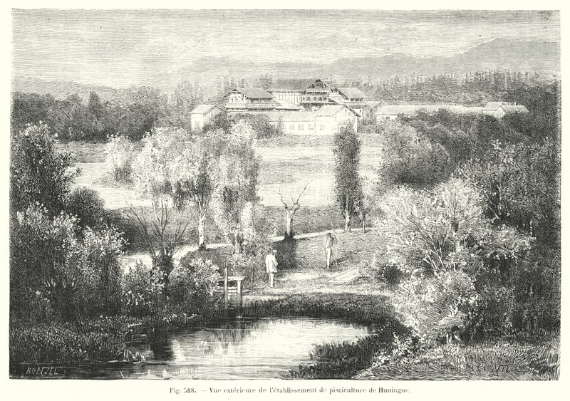 Widok zewnętrzny hodowli ryb Huningue (grawerowanie) autorstwa European School