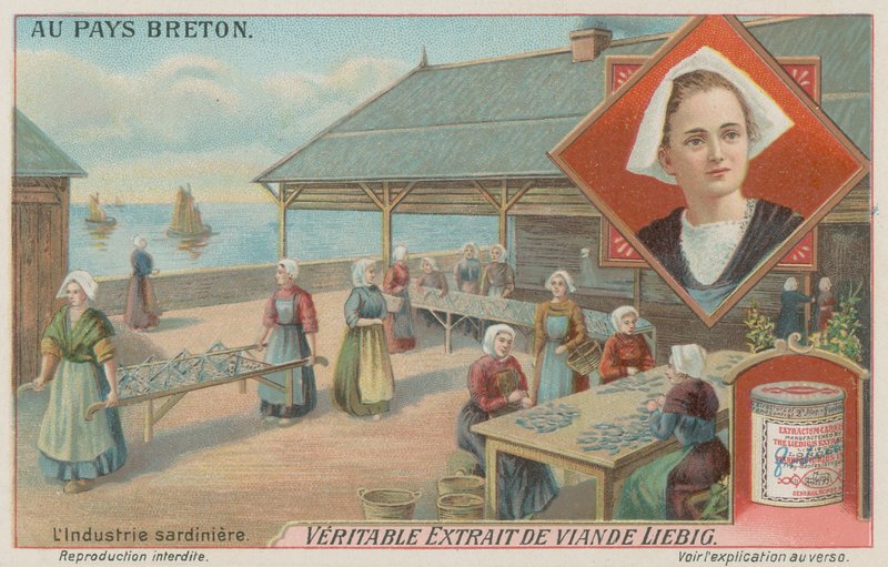 Kobiety przygotowujące sardynki (chromolitho) autorstwa European School