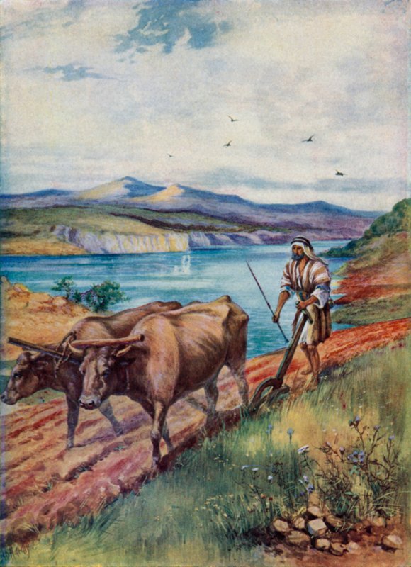 Orka w krainie Jezusa (kolor lito) autorstwa Evelyn Stuart Hardy