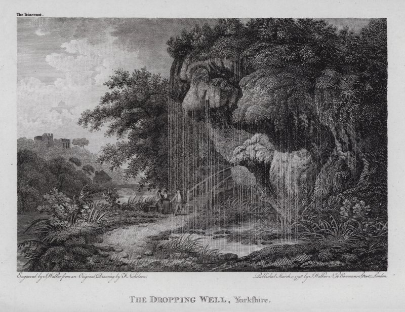 The Dropping Well, Yorkshire (grawerowanie) autorstwa F. (after) Nicholson