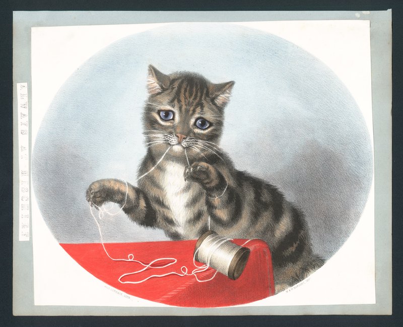 Always at Mischief - wiktoriańska kartka z życzeniami (chromolitho) autorstwa Fanny Corbaux