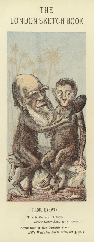 Karykatura Karola Darwina autorstwa Faustin