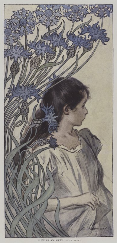 Fleurs Animees. Le Bluet. (Animowane kwiaty: Chaber) (kolor lito) autorstwa Firmin (after) Bouisset