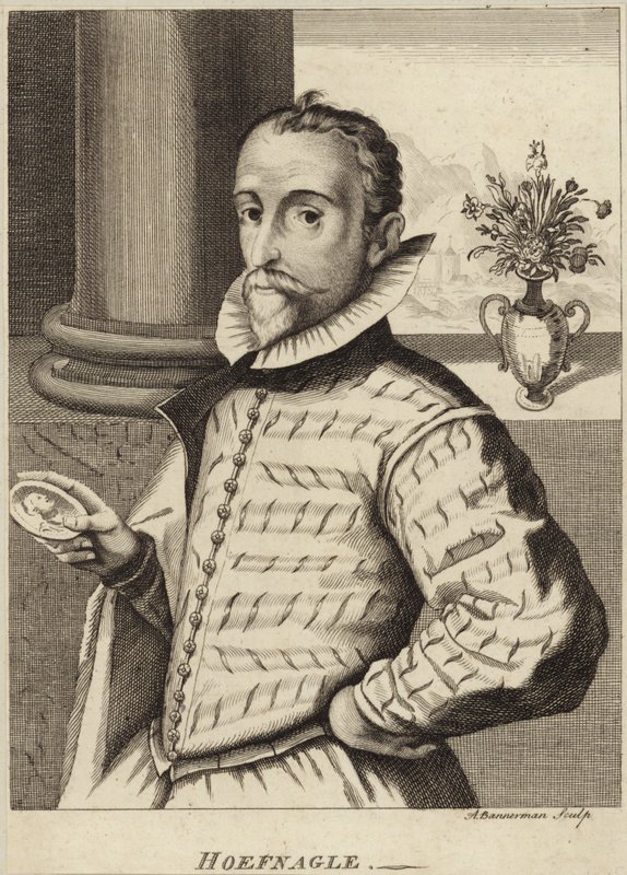 Portret Jorisa Hoefnagela autorstwa Flemish School
