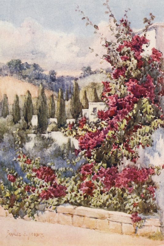 Na moim balkonie, Algier (kolorowa litografia) autorstwa Frances Nesbitt