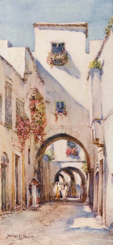 Rue Tourbet el Bey, Tunis (kolorowa litografia) autorstwa Frances Nesbitt